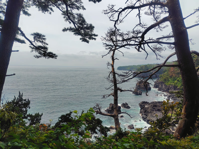 城ヶ崎海岸
